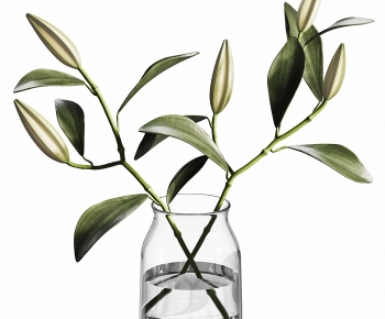 Modern Aquatic Green Plant-ID:409869911