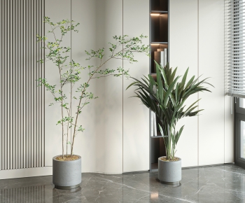 Modern Ground Green Plant Potted Plants-ID:503704074