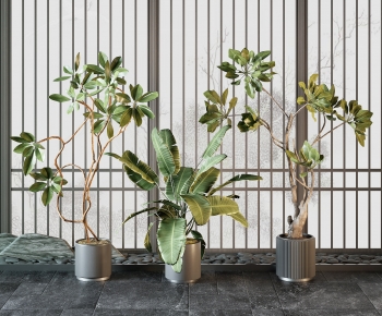 现代落地绿植盆栽组合-ID:926424989