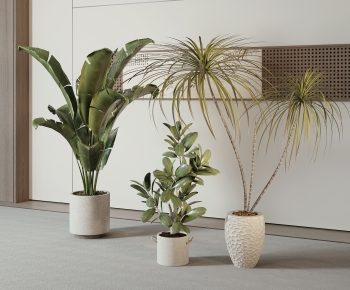 现代落地绿植盆栽组合-ID:195655117
