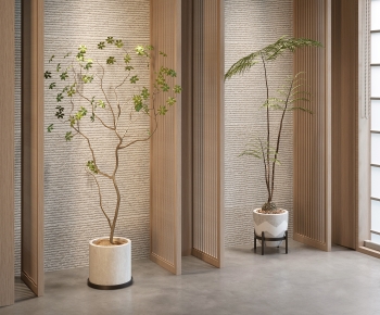 Modern Ground Green Plant Potted Plants-ID:639920223