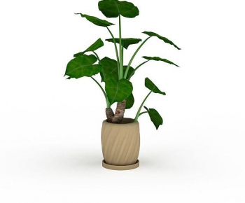 Modern Potted Green Plant-ID:104908962