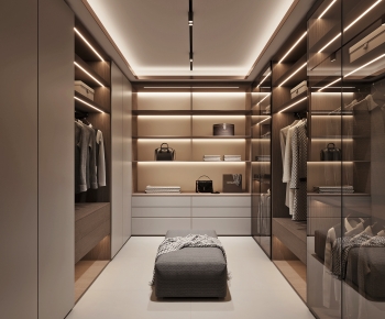 Modern Clothes Storage Area-ID:741452931