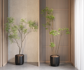 Modern Ground Green Plant Potted Plants-ID:342225076