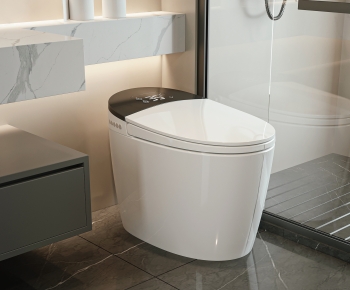 Modern Toilet-ID:343964104