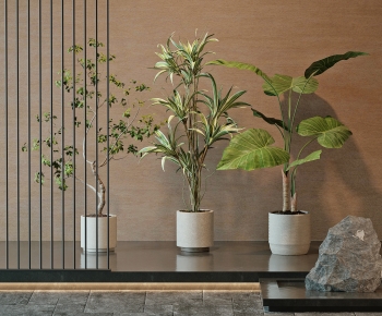Modern Ground Green Plant Potted Plants-ID:178239115