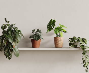 Modern Desktop Plant-ID:346601967