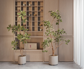 Modern Ground Green Plant Potted Plants-ID:828330042