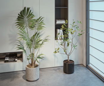 Modern Ground Green Plant Potted Plants-ID:519979009