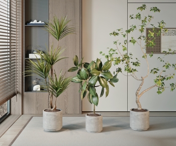 Modern Ground Green Plant Potted Plants-ID:194581991