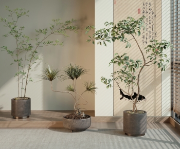 Modern Ground Green Plant Potted Plants-ID:886858948
