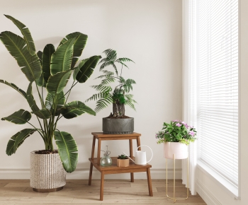 Modern Ground Green Plant Potted Plants-ID:307768119