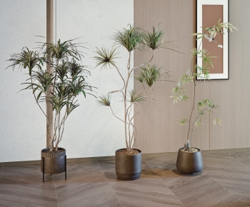 Modern Ground Green Plant Potted Plants-ID:439307932