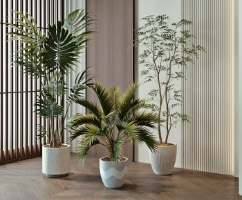 Modern Ground Green Plant Potted Plants-ID:129303939