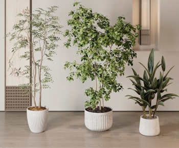Modern Ground Green Plant Potted Plants-ID:619936945