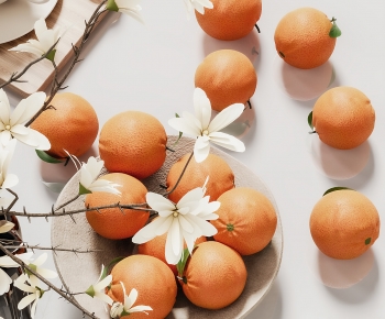 Modern Fruit-ID:751559021