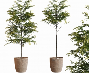 Modern Ground Green Plant Potted Plants-ID:454720026
