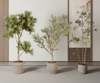 Modern Ground Green Plant Potted Plants-ID:475773108