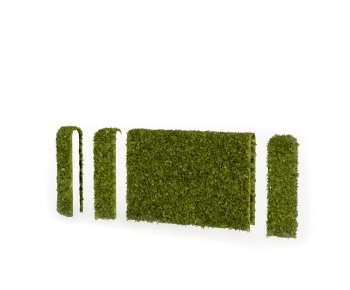 Modern Shrubbery-ID:200212964