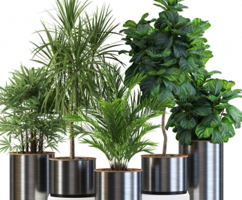 Modern Ground Green Plant Potted Plants-ID:857995037