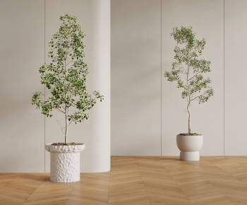 Modern Ground Green Plant Potted Plants-ID:211550006