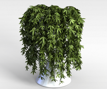 Modern Potted Green Plant-ID:252907045