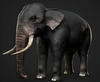 Modern Mammal-ID:102777008