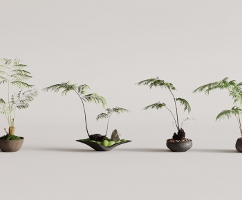 New Chinese Style Bonsai-ID:694977054