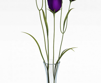 Modern Flower Arrangement-ID:674081093