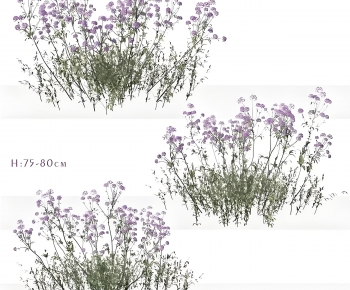 Modern Flowers And Grass-ID:412704946