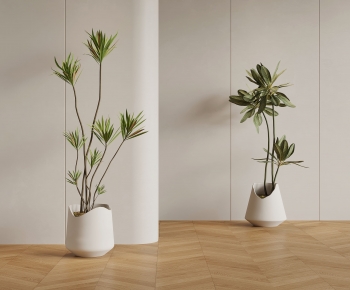 Modern Ground Green Plant Potted Plants-ID:443757066