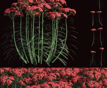 Modern Flowers And Grass-ID:350950008