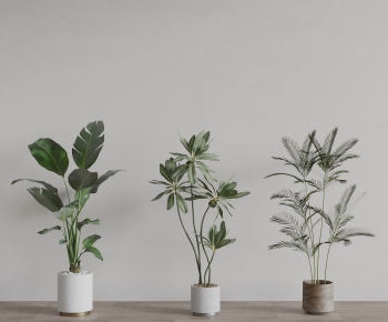 Modern Ground Green Plant Potted Plants-ID:798861984