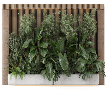 Modern Plant Wall-ID:550364029
