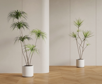 Modern Ground Green Plant Potted Plants-ID:568248036
