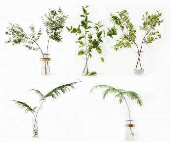 Modern Aquatic Green Plant-ID:532874115