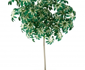 Modern Ground Green Plant Potted Plants-ID:950633056