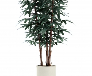 Modern Ground Green Plant Potted Plants-ID:900204906