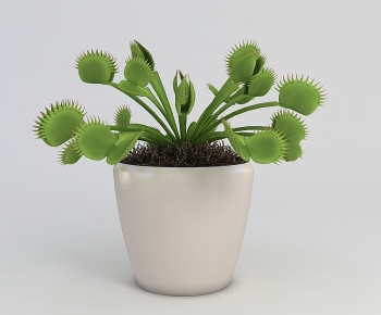 Modern Potted Green Plant-ID:632076032