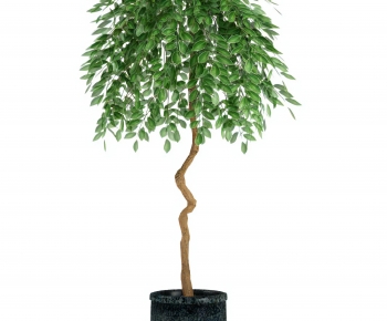 Modern Ground Green Plant Potted Plants-ID:142848979