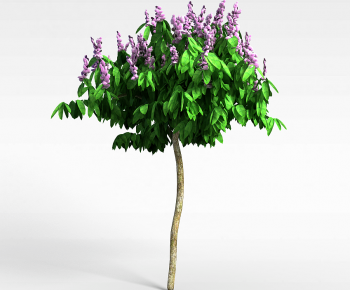 Modern Tree-ID:949768074