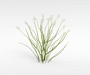 Modern Shrubbery-ID:349550282