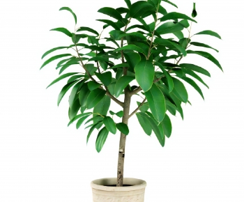 Modern Ground Green Plant Potted Plants-ID:839088927