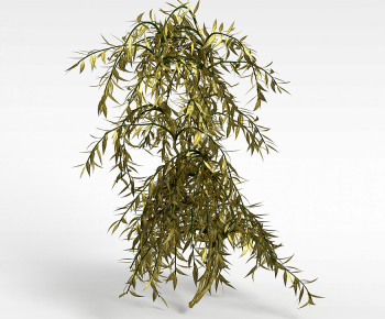 Modern Tree-ID:180834059