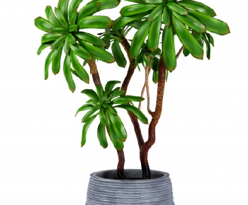 Modern Ground Green Plant Potted Plants-ID:264782916