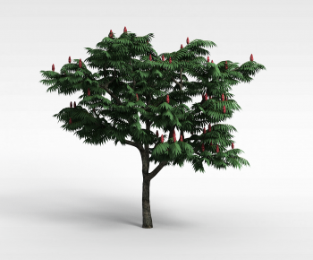 Modern Tree-ID:122514019