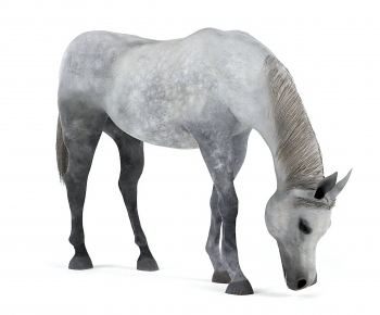 Modern Animal Horse-ID:542114027