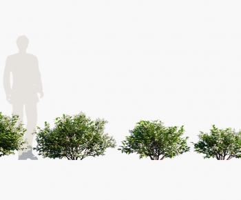 Modern Shrubbery-ID:866003047