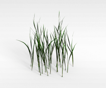 Modern The Grass-ID:103969662