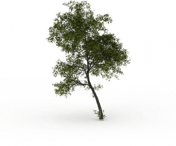 Modern Tree-ID:634424924